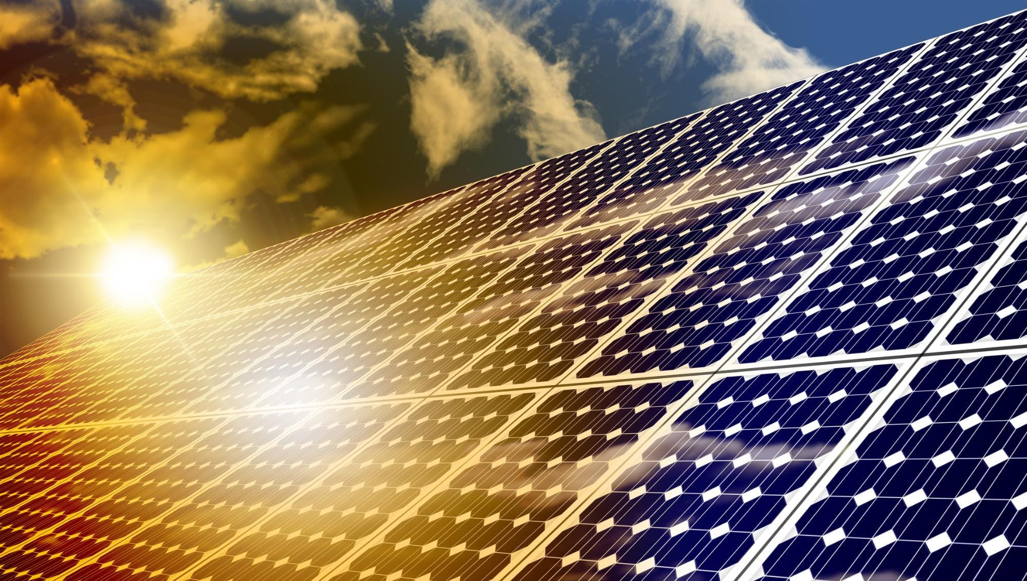 ABSOLAR e Smart Energy Council fortalecem transição energética sustentável entre Brasil e Austrália