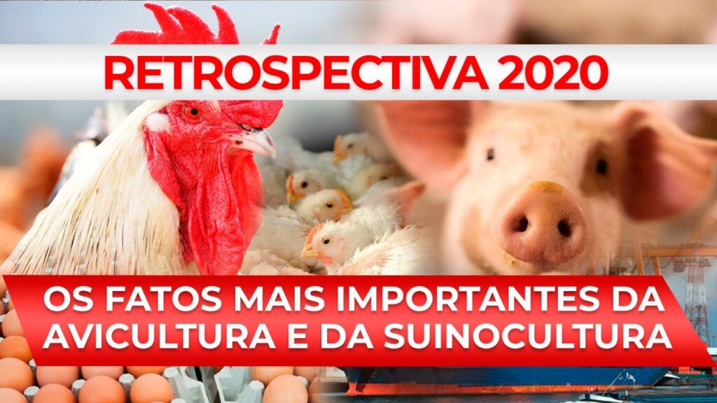 RETROSPECTIVA 2020 – Os fatos mais importantes da avicultura e da suinocultura