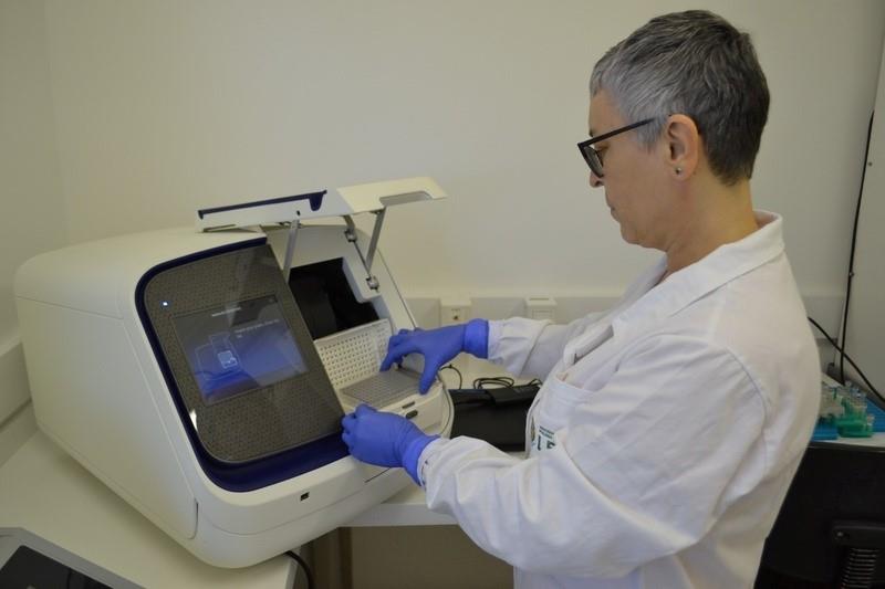 Laboratório brasileiro realiza sequenciamento genético do vírus da gripe aviária