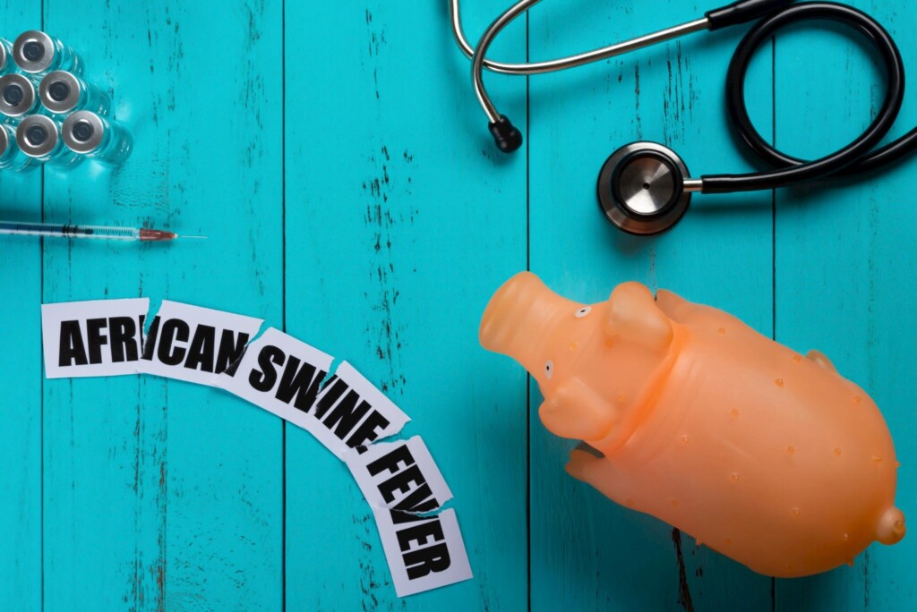 Novos surtos de pestes suína africana na China assustam produtores americanos