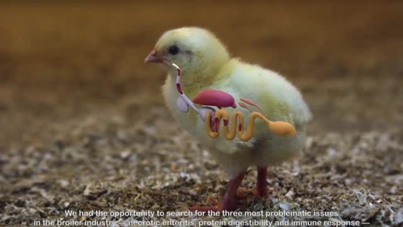 Chr. Hansen lança probiótico 3 em 1 nos Estados Unidos