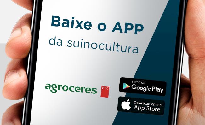 Empresa leva conhecimento a suinocultores por meio de aplicativo