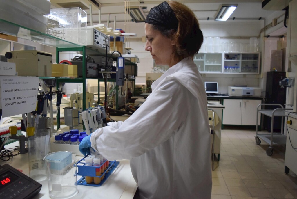 Bioacessibilidade determina o que pode ser aproveitado em termos de nutrientes a partir dos alimentos que comemos