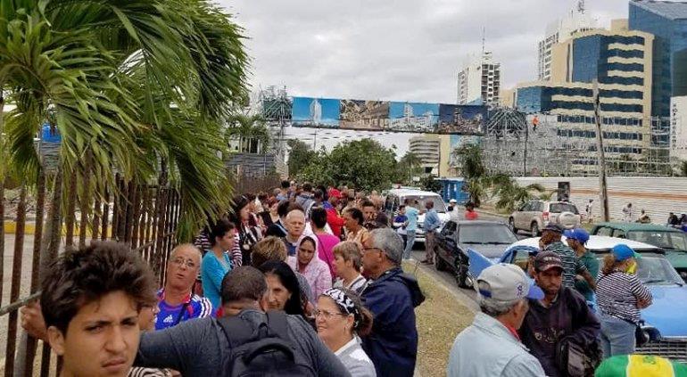 Economista recomienda permitir al sector privado producir pollo en Cuba para eliminar desabastecimiento