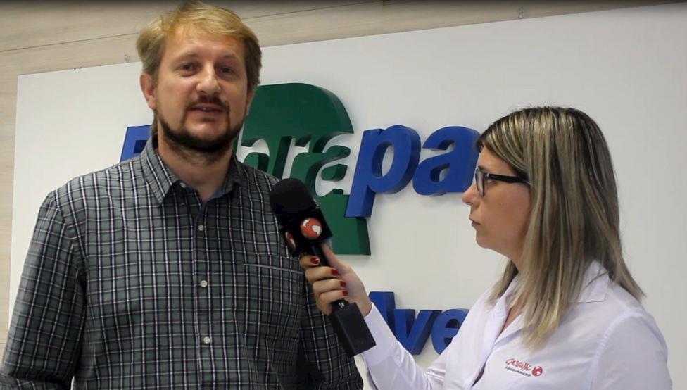 Embrapa Suínos e Aves desenvolve projeto de Boas Práticas de Produção na Postura Comercial