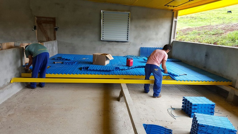 Nova solução para baia e creche de suínos