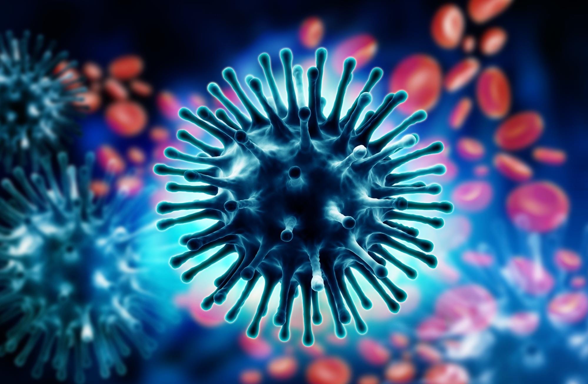 Itália reporta vírus altamente patogênico de influenza aviária