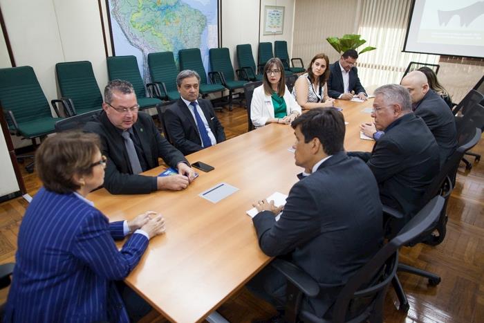 CNA discute plano de erradicação da Peste Suína Clássica com ministra da Agricultura