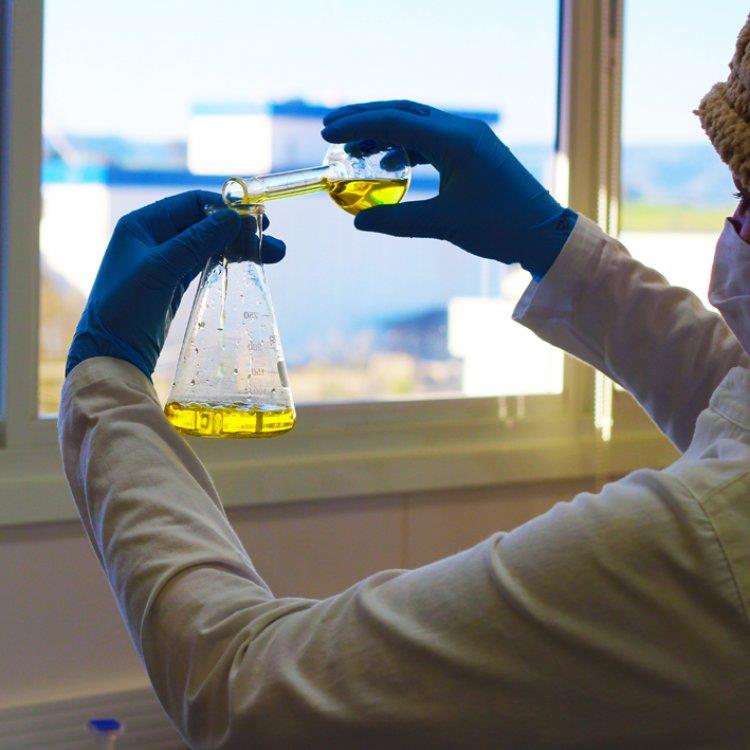 Laboratório da Mig-PLUS conquista desempenho máximo em programa de controle de qualidade