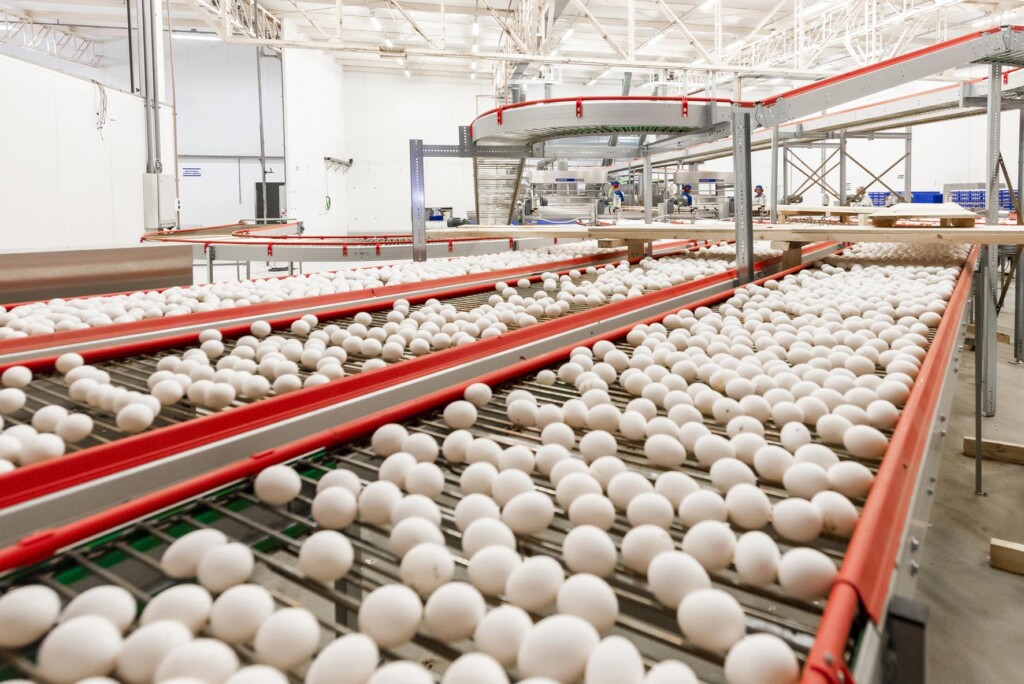 Katayama Alimentos conquista certificação BRCGS