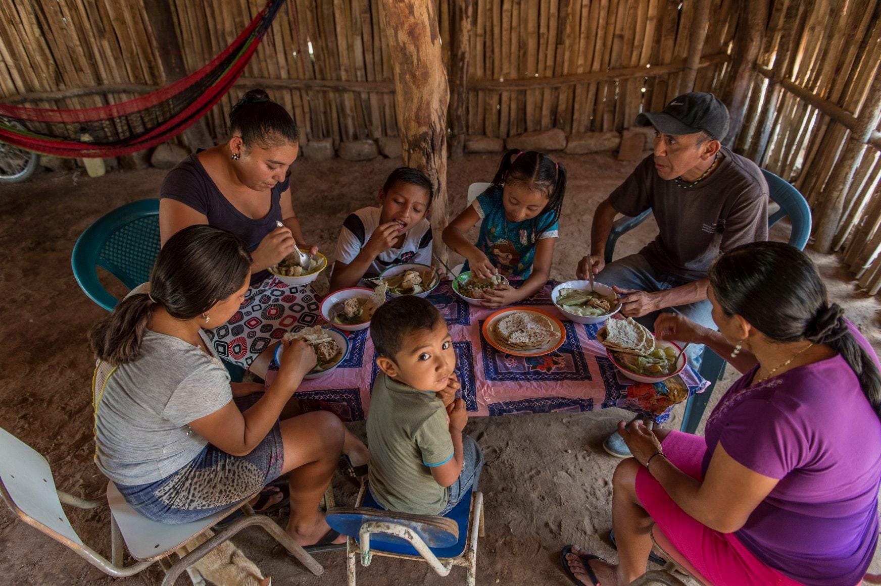 Conab e Programa Mundial de Alimentos irão trocar experiências no combate à fome