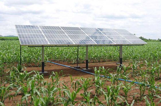 Projeto de agricultor cearense transforma energia solar em elétrica