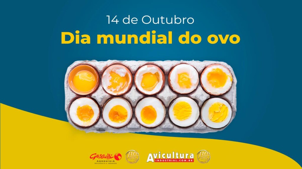 Setor avícola celebra dia mundial do ovo com crescimento de consumo e expectativas de melhora na competitividade