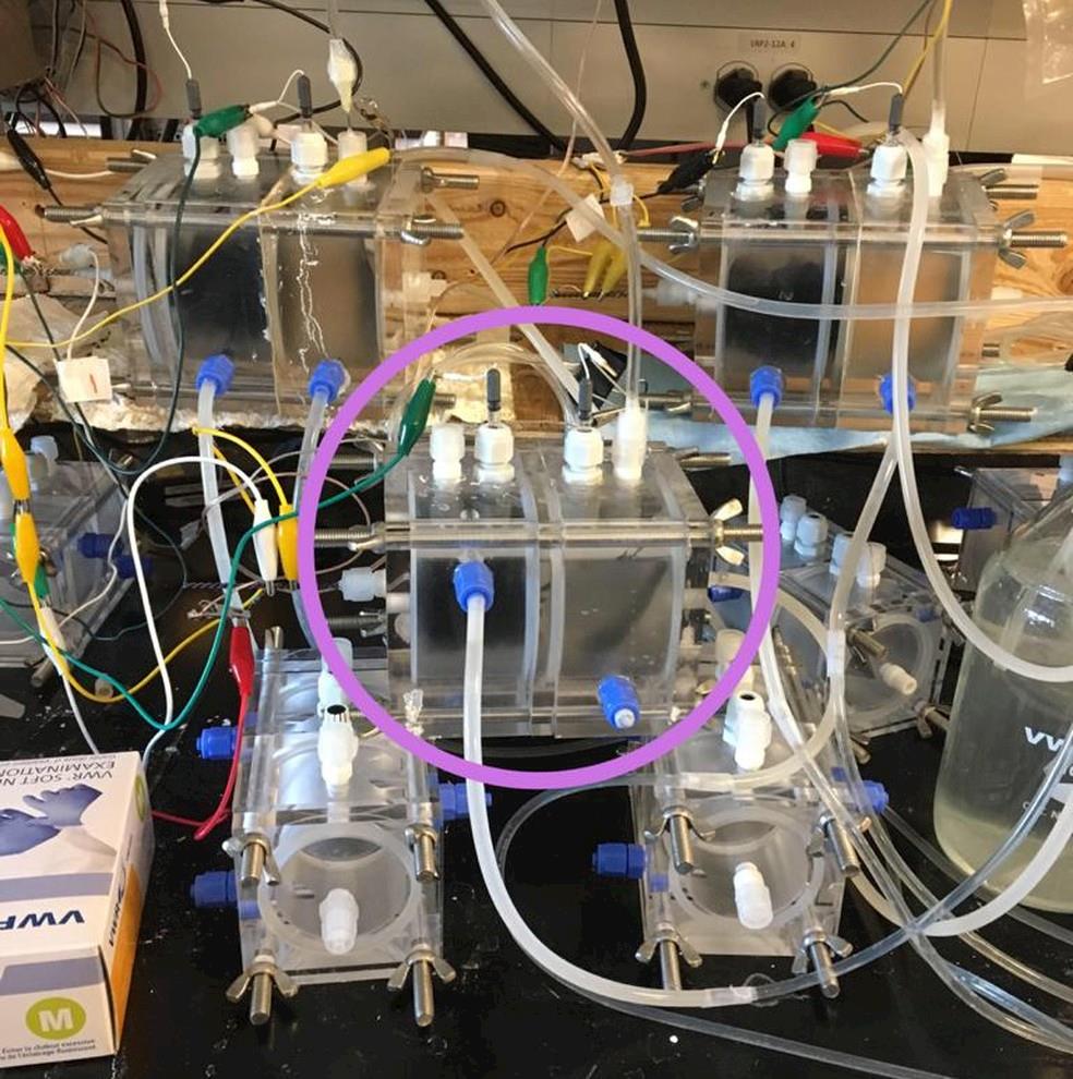 Pesquisa cearense transforma esgoto em energia elétrica suficiente para carregar celulares