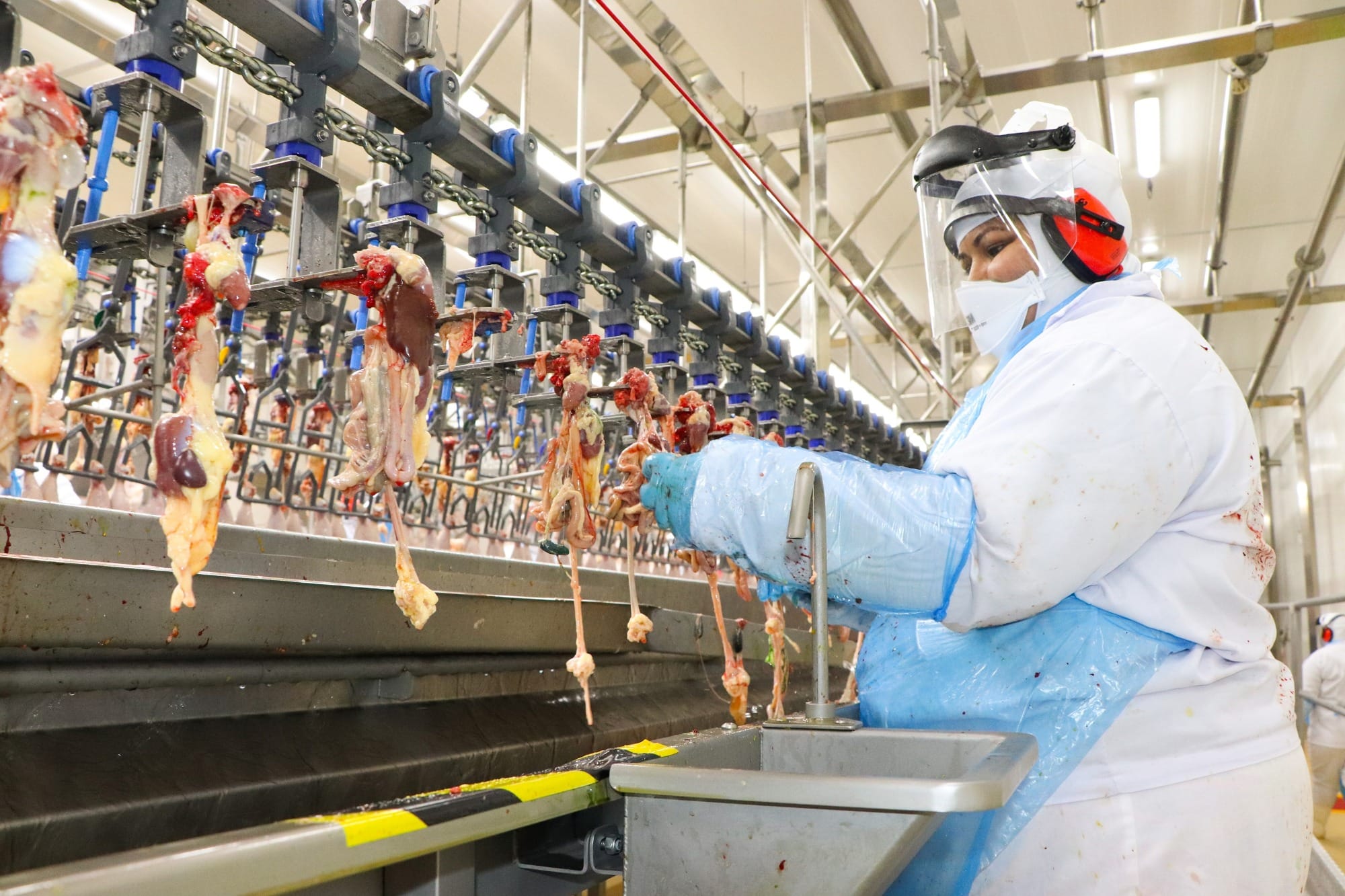 Dália pode exportar carne de frango a países de origem muçulmana
