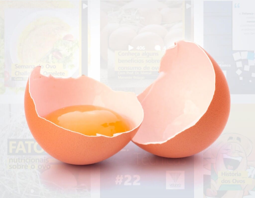 Vetanco chama atenção para a importância de se consumir o alimento na Semana do Ovo