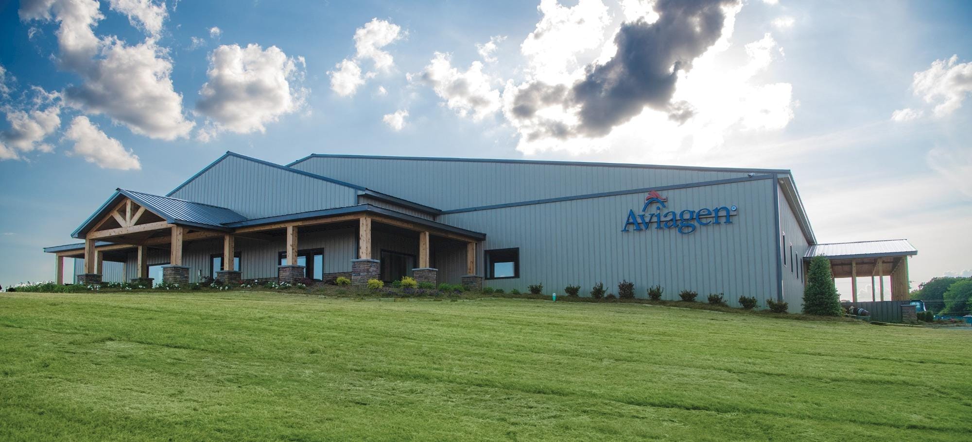 Aviagen: revivendo um legado da indústria