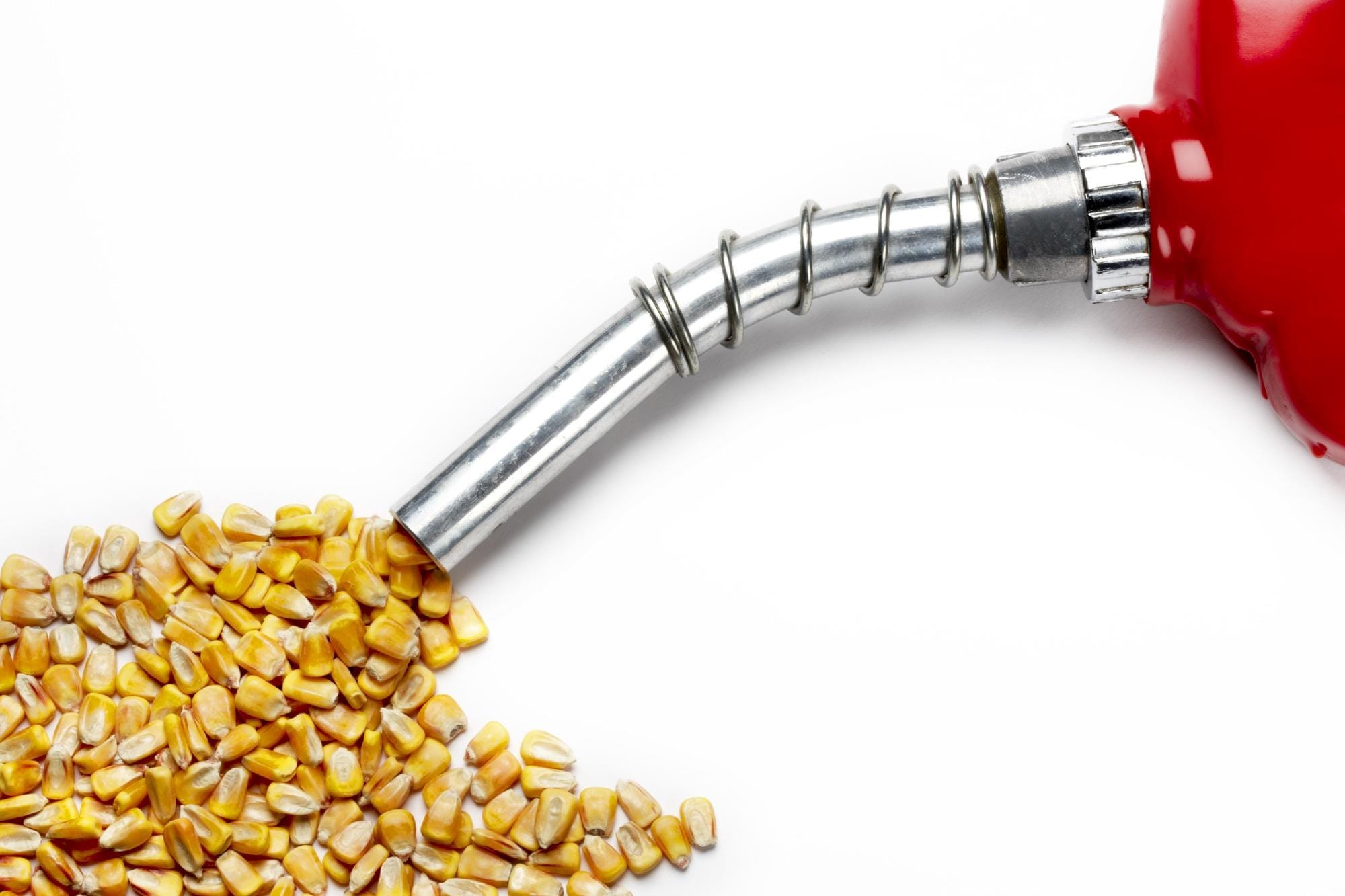 Paraguai quer construir maior refinaria de biocombustíveis da América do Sul Paraguai quer construir maior refinaria de biocombustíveis da América do Sul