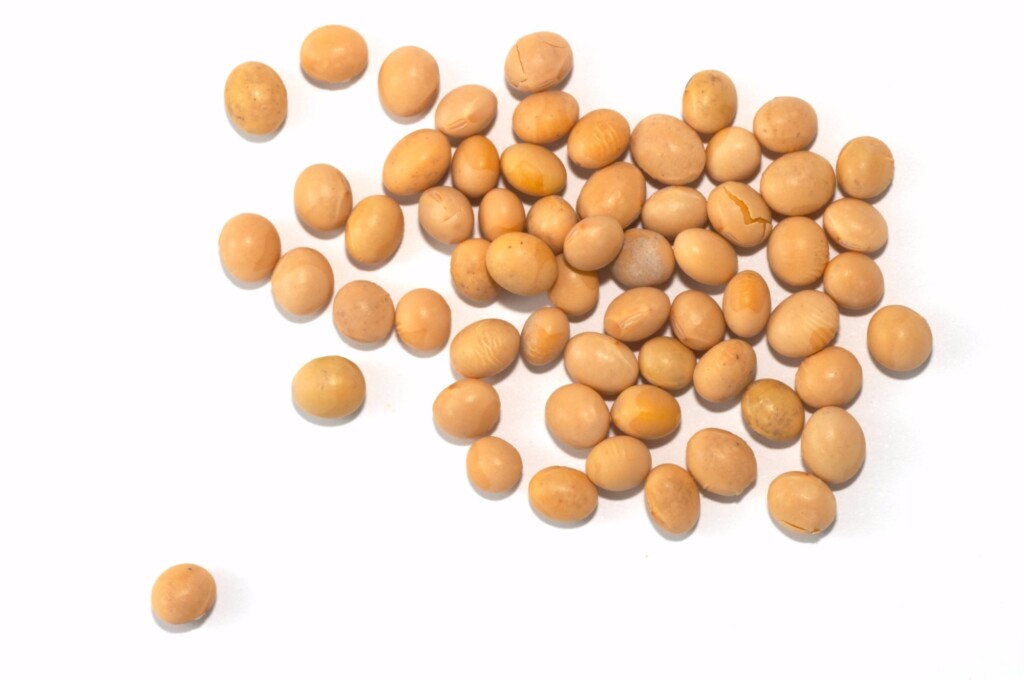 Safra recorde e estoques alongados pressiona preços da soja