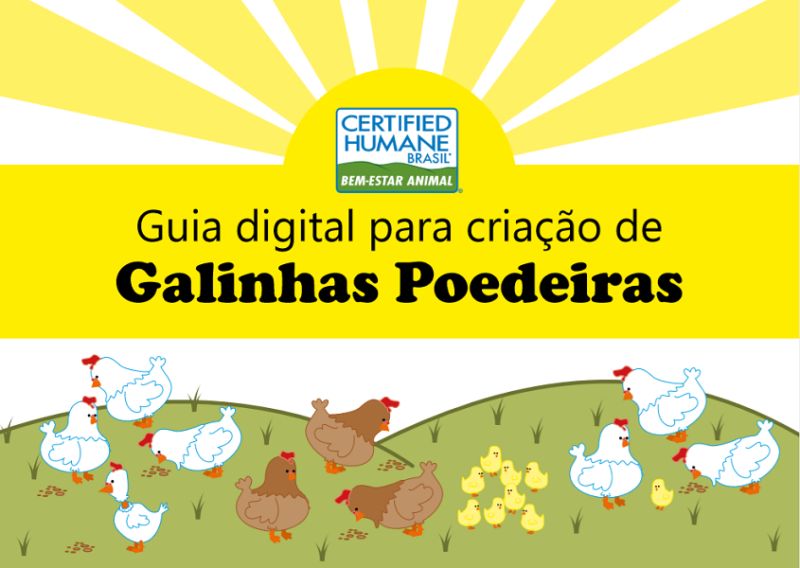 Certified Humane disponibiliza guia digital para criação de poedeiras