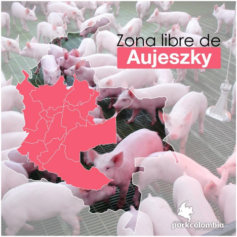 ICA declara primeira zona livre de doença de Aujeszky