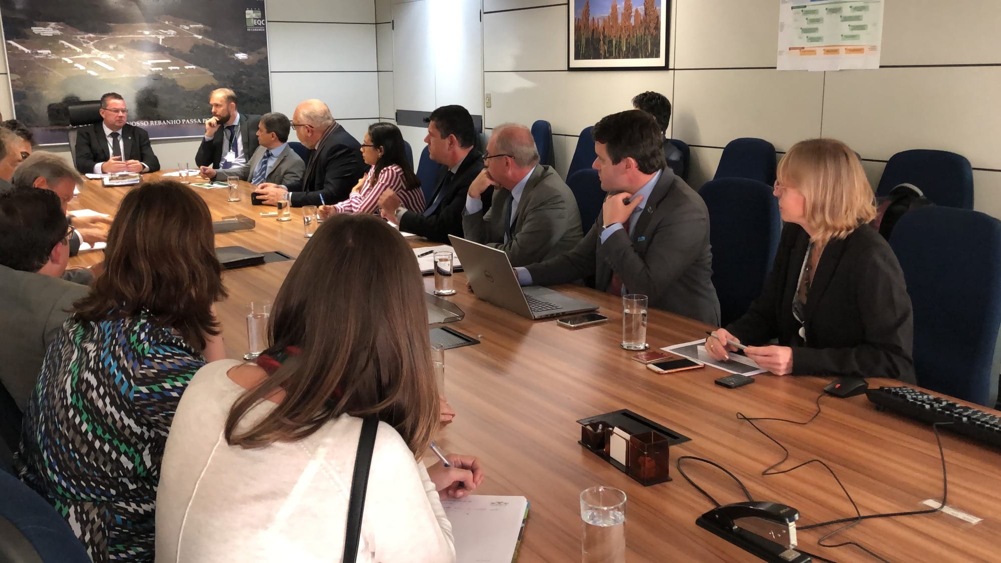 Secretaria de Defesa Agropecuária discute destinação de carcaças de animais mortos em propriedades