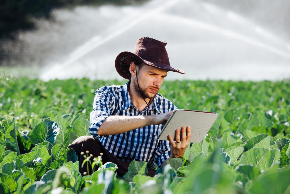 CNA reforça importância de atenção aos prazos para declaração do ITR