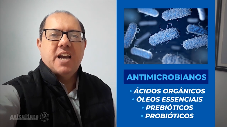 Confira o que será destaque na próxima edição da Avicultura Industrial