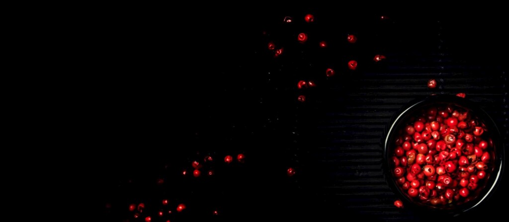 Incorporação de extrato de pimenta rosa em hambúrguer de frango: estabilidade oxidativa e percepção sensorial