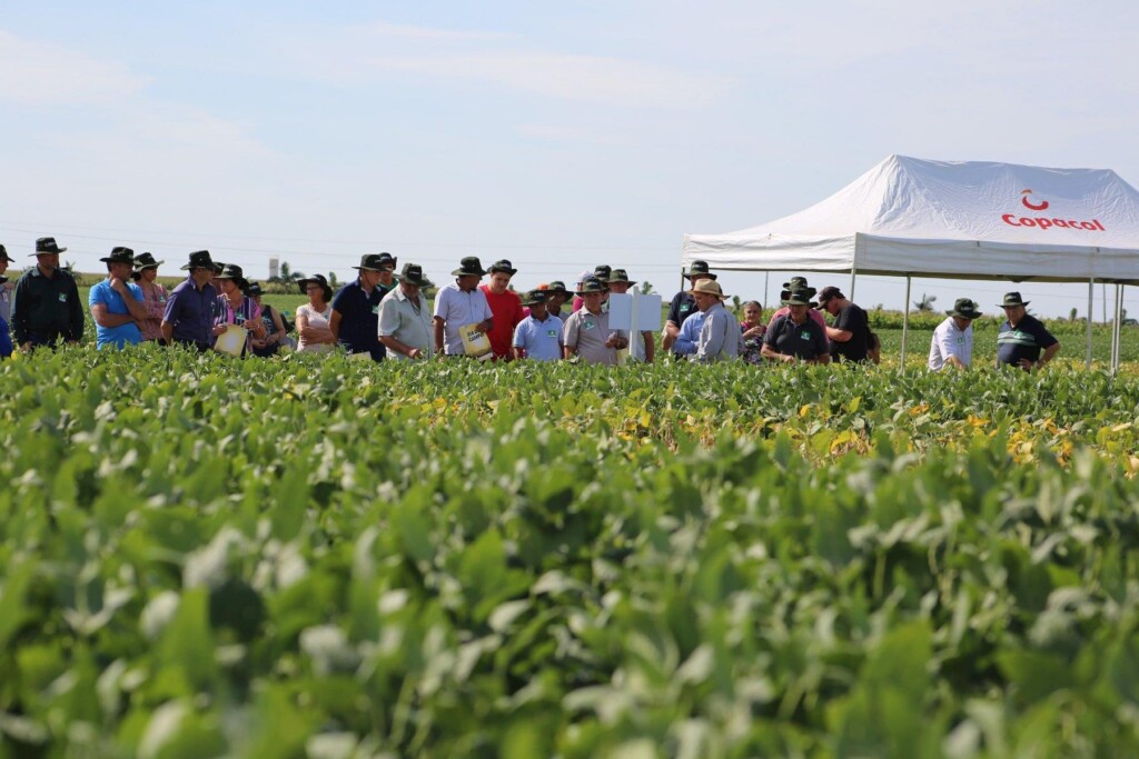 Dia de campo Copacol mostrou cenários e tendências do mercado
