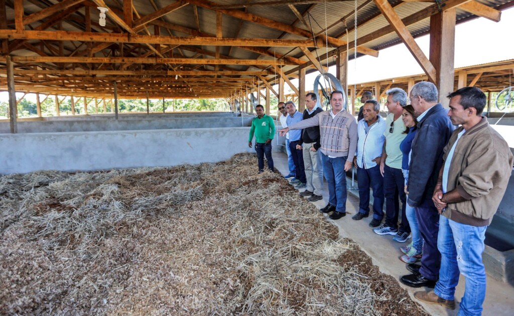Acre constrói galpões para criação de suínos em comunidades