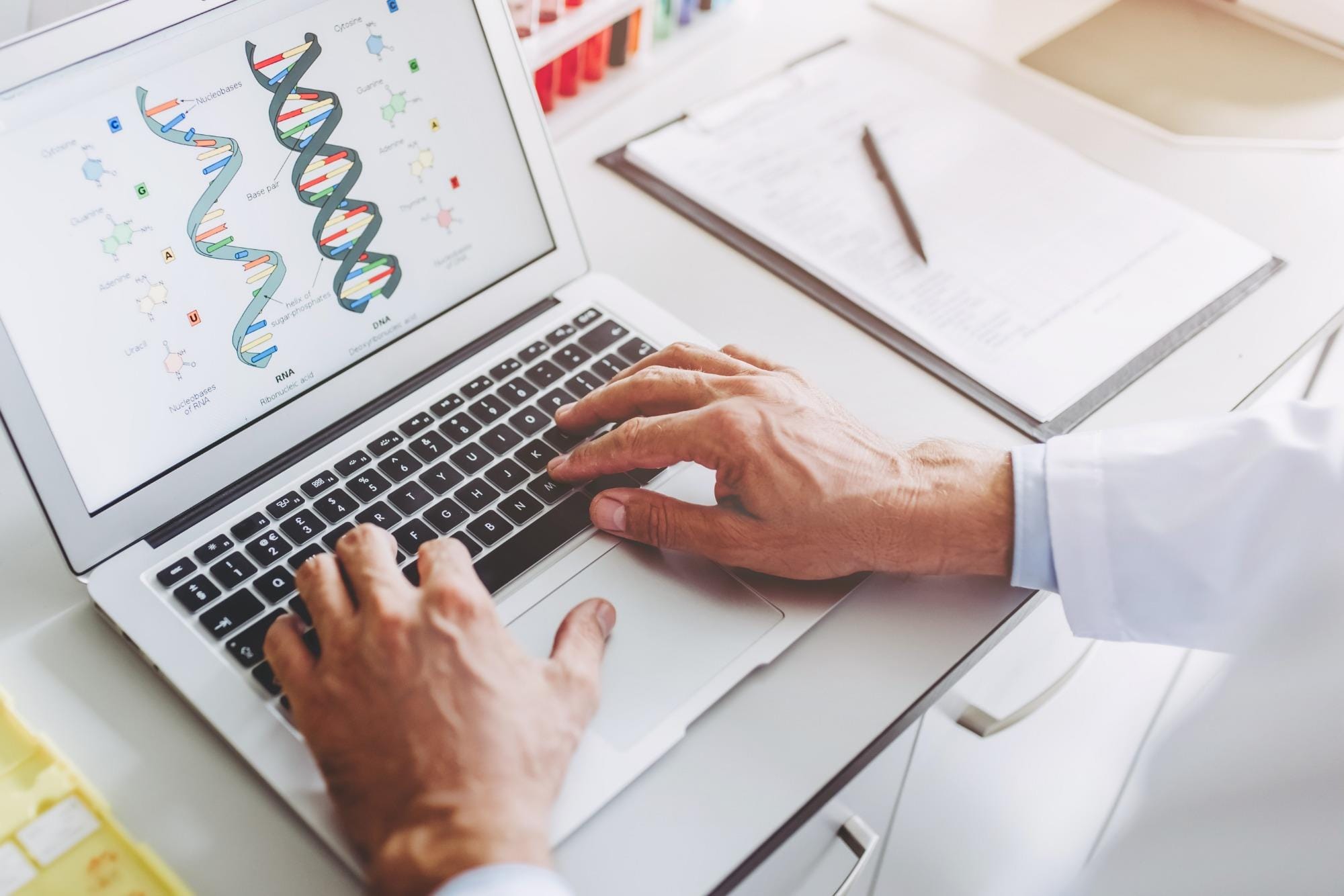 Reprodutor suíno macho: tecnologias e características