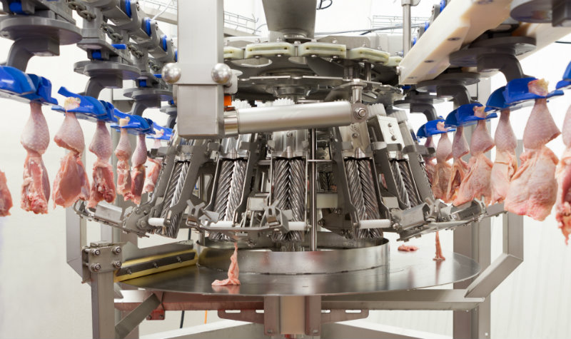 Agroindústria poderá crescer 7,4% ainda este ano