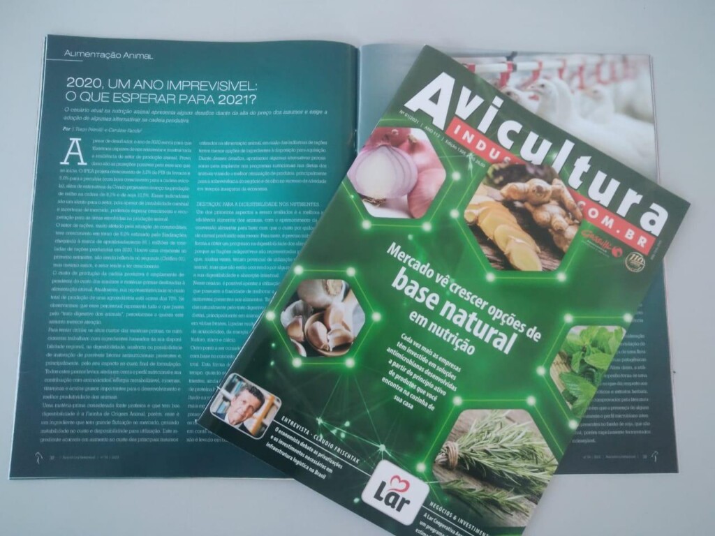 2020, um ano imprevisível: O que esperar para 2021?