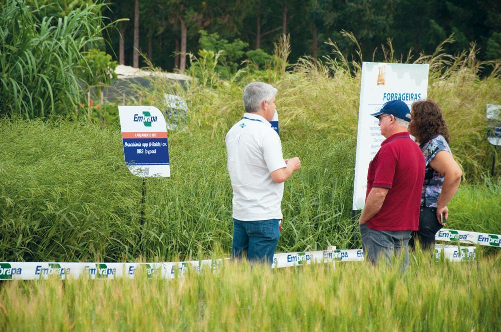 Tecnologias da Embrapa Agroenergia na AgroBrasília