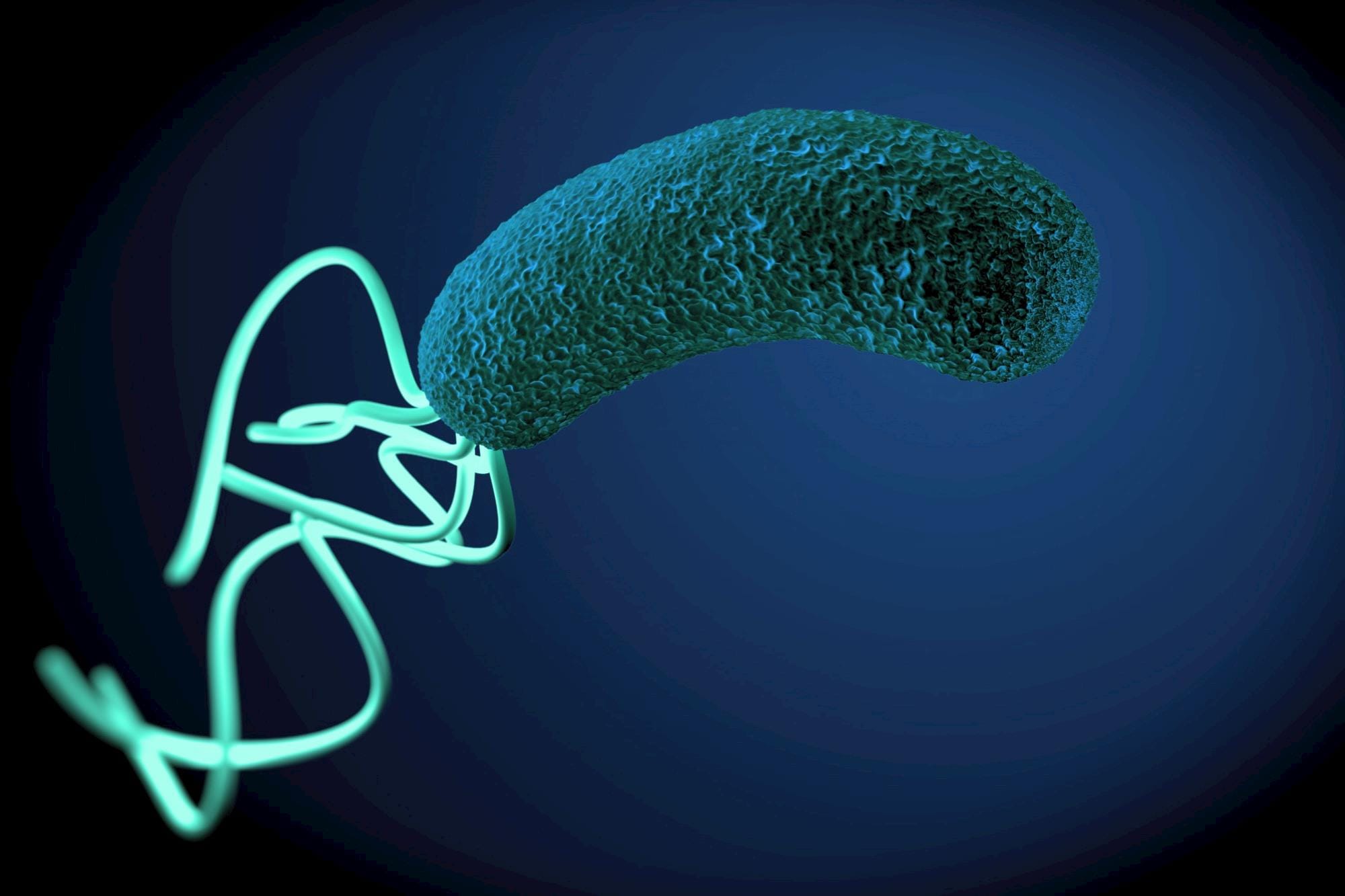 Brasil avança em ações para uso racional de antimicrobianos