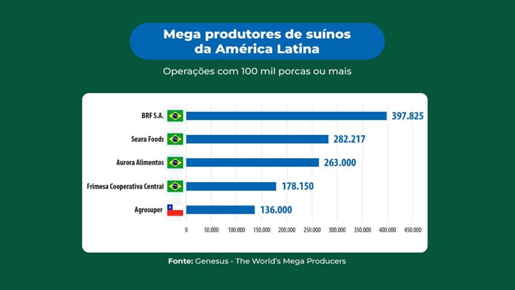 Análise global revela os maiores produtores de suínos do mundo