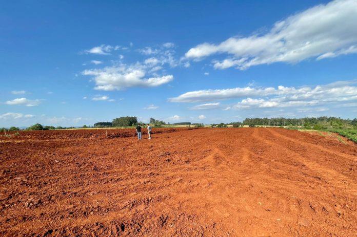 Aviário em construção em Vila Palanque é o oitavo projetado neste ano em Venâncio/RS