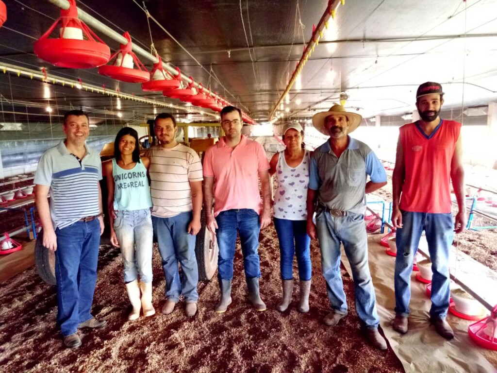 Produtor da GTFoods bate recorde em conversão e conquista R$ 1,41 por frango