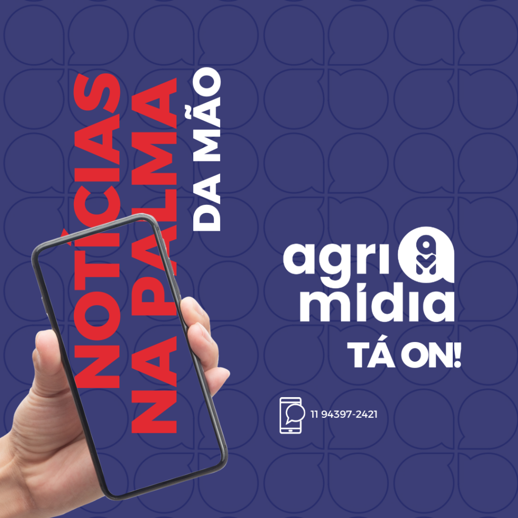 Notícias na palma da mão: saiba como participar dos grupos da Gessulli Agrimídia