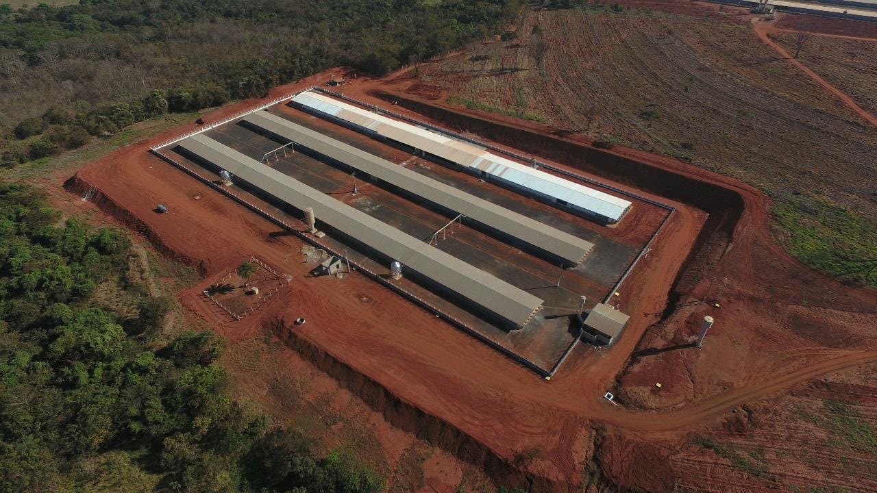 Cobb-Vantress amplia unidade de Palestina e foca aumento de 125% na capacidade de produção