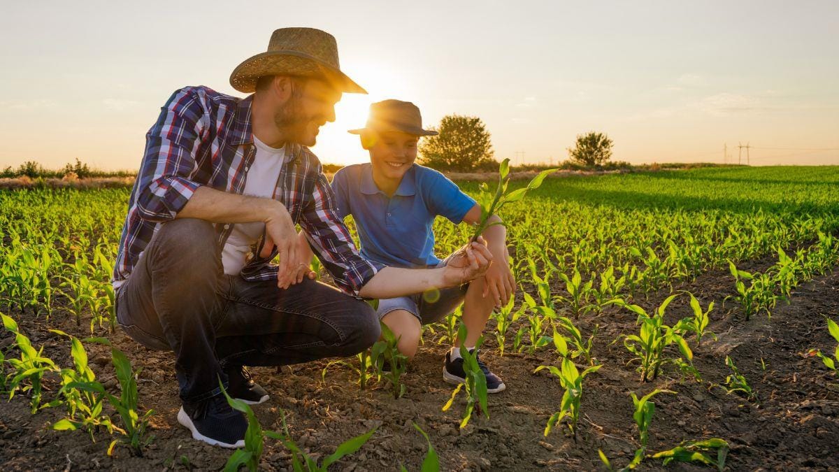 Confira o lançamento do Plano Safra 23/24 para Agricultura Familiar