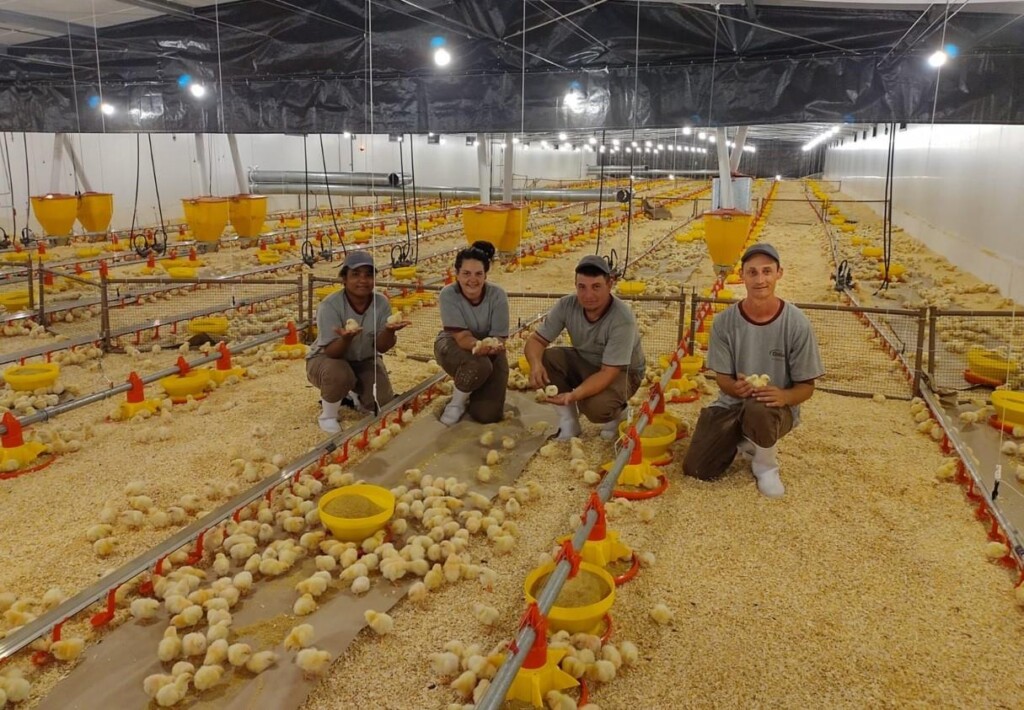 Condomínio Avícola Relvado é o último a alojar e encerra fase de obras