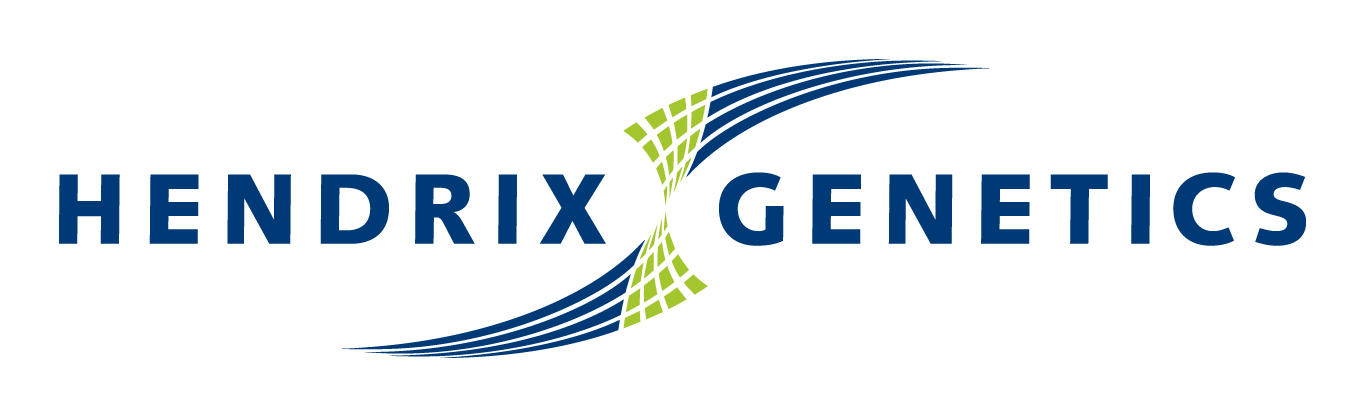 Ricardo Augusto Pinto é nomeado gerente de vendas da Hisex – Hendrix Genetics