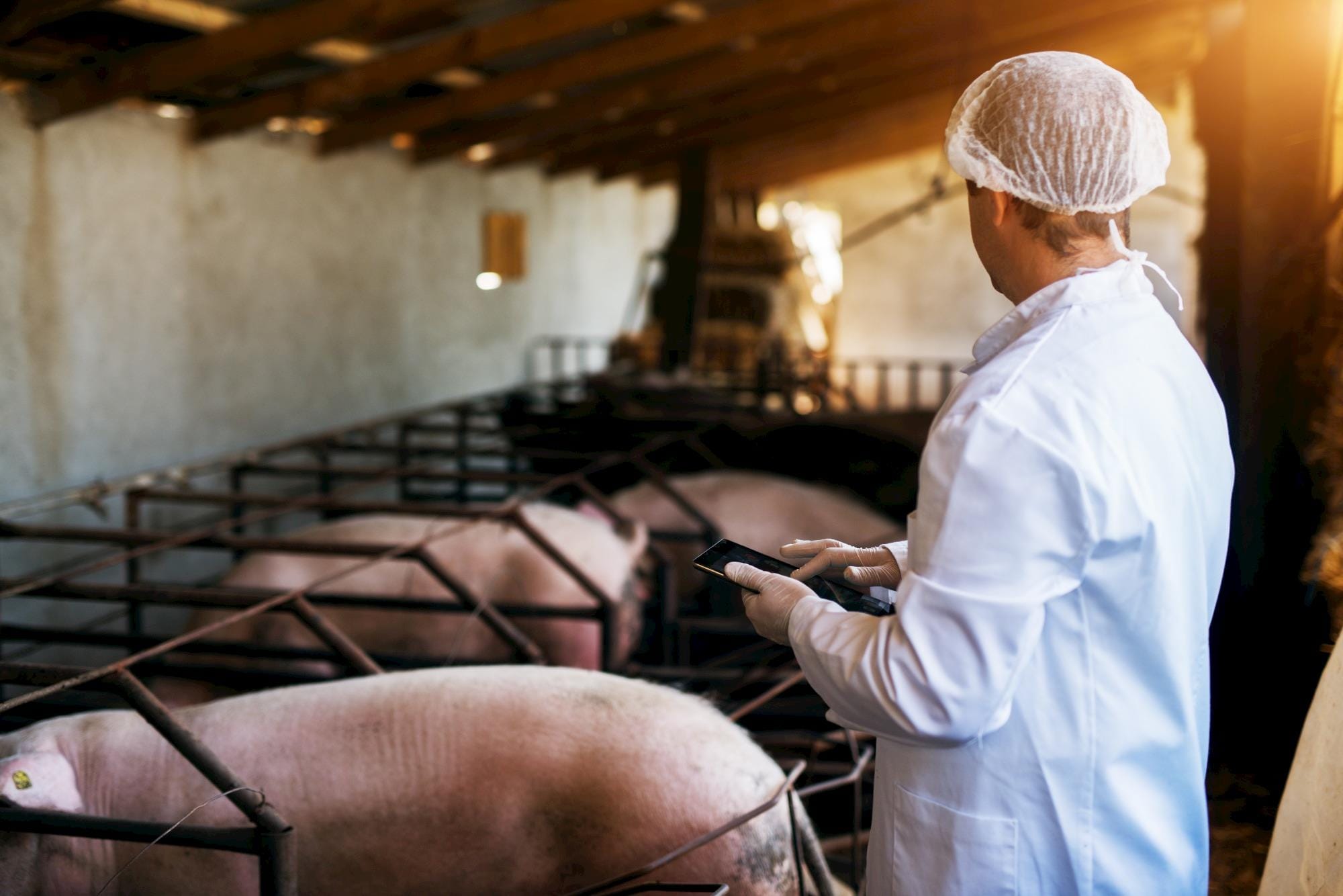 População ocupada no agro fica estável no 1º tri de 2019
