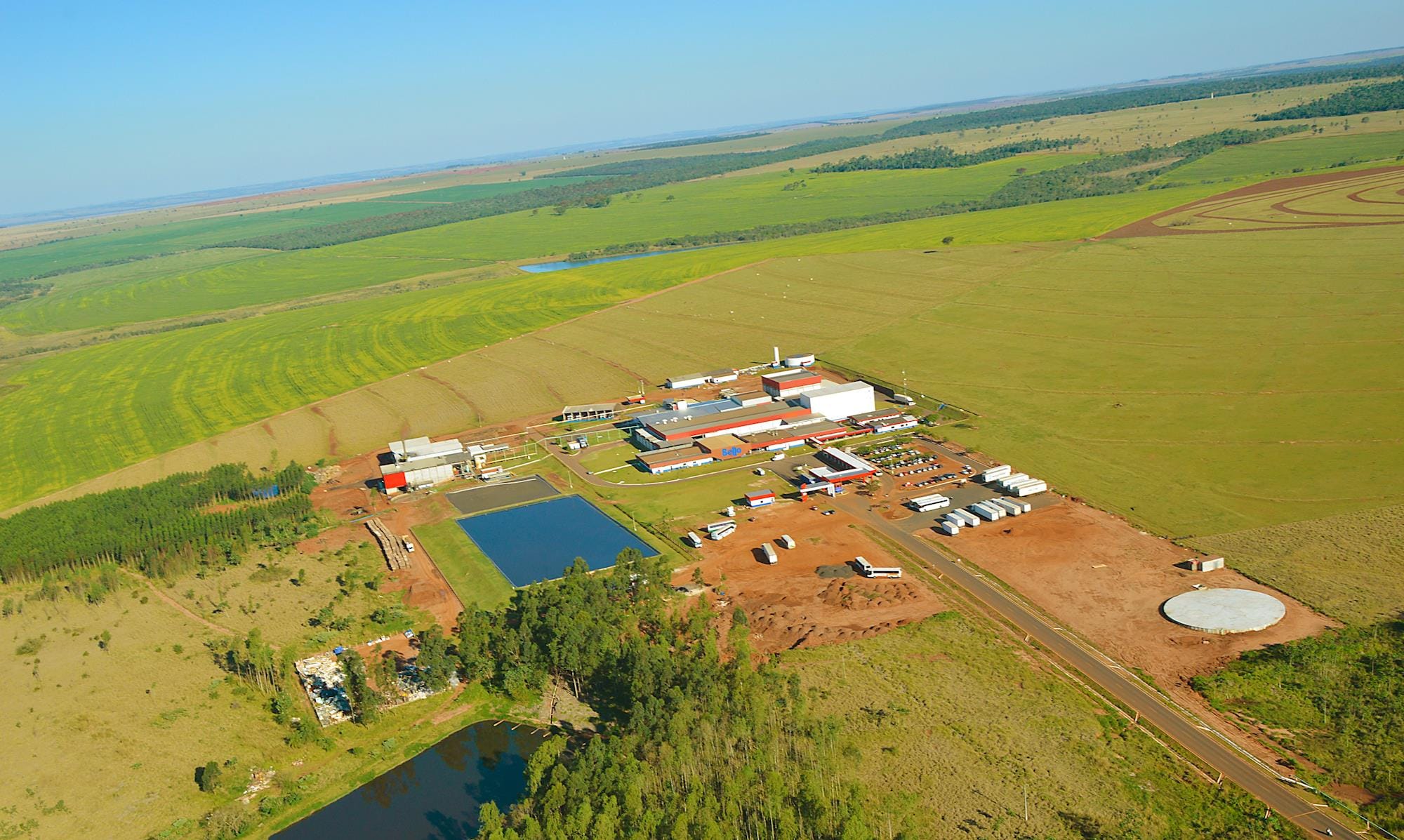 Produção focada no mercado externo Produção focada no mercado externo