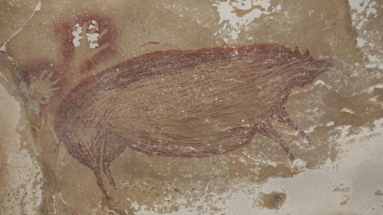 Suínos e humanos: uma relação de mais de 45 mil anos