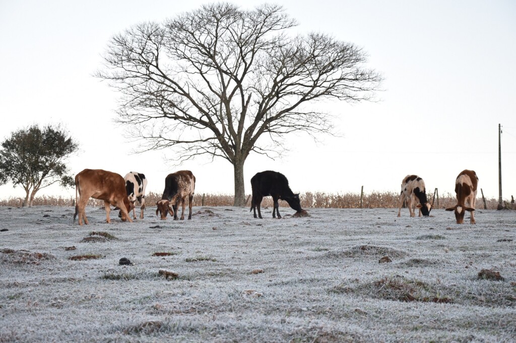 Temperaturas caem ainda mais no Sul