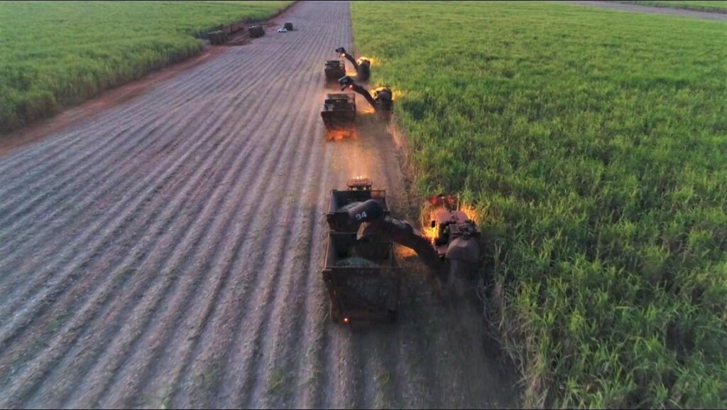 ACP Bioenergia supera 2,5 milhões de toneladas na safra