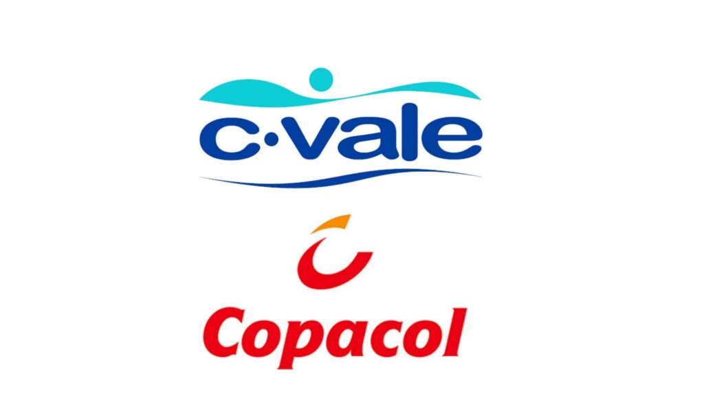 Cooperativas do Paraná tiveram avanço no faturamento em 2018